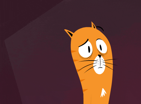 Confused Cats GIF by Kitty Is Not A Cat