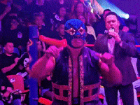 Lucha Libre Wrestling GIF