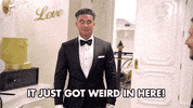 Mtv Mikes Wedding GIF by Jersey Shore Family Vacation