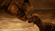 walking with dinosaurs dinosaur GIF by Science Friday