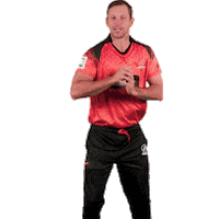 sunriserseasterncape cricket sec sunrisers sa20 Sticker