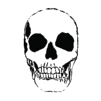 Drunk About Last Night Sticker by LULUSIMONSTUDIO