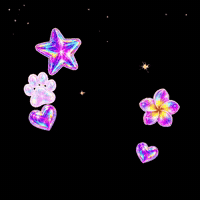 Chow Chow Thank You GIF