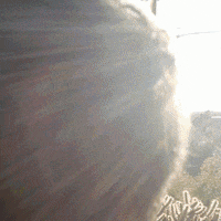 Trevor Plouffe Love GIF by Jomboy Media