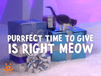 The Purrfect Gift
