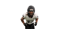 Bsubeaversfb Sticker by Bemidji State Beavers