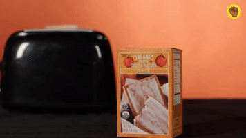 Pumpkin Spiced Toaster Pastries