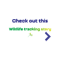 Sticker by WildlifeDrones