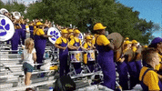 Football Marching GIF by Western Illinois University