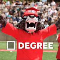 GIF by Stony Brook University