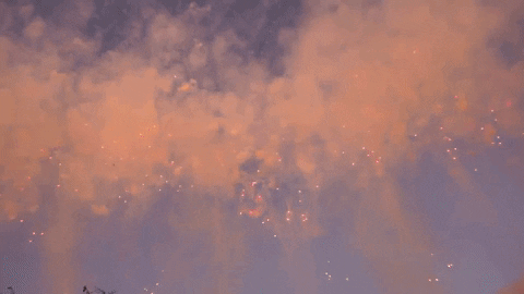 fireworks desperta GIF by For 91 Days