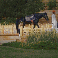 suryagarh yummy breakfast wait rajasthan GIF
