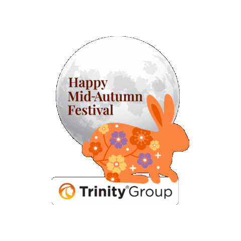 TrinityGroup giphygifmaker happy rabbit full moon Sticker