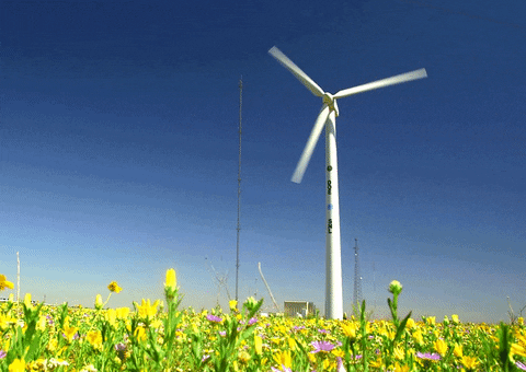 wind turbine GIF by Sandia National Labs