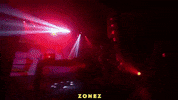suzianalogue suzi analogue suzianalogue zonez GIF