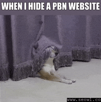 seowl_app seo seowl GIF