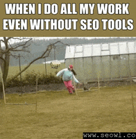 seowl_app seo seowl GIF