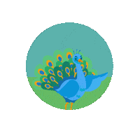 LioxFoundation star peacock esther liox foundation Sticker