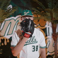 South Florida Baseball GIF by USF Athletics
