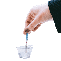 PremomFertility test pregnant pregnancy tww Sticker