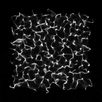 Glow Black White GIF