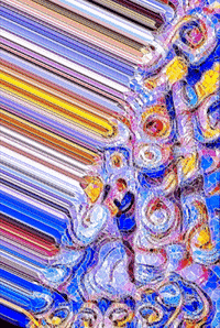 Just Married Love GIF