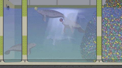aquarium swimming GIF by South Park 
