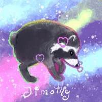 Raccoon GIF
