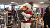 FollowStevens reading paper attila stevens GIF