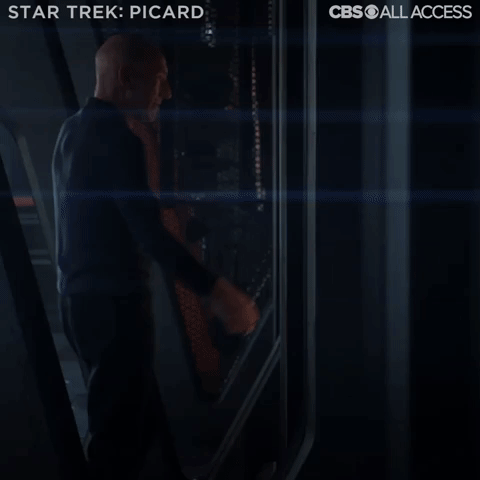 Star Trek: Picard -  Welcome Back