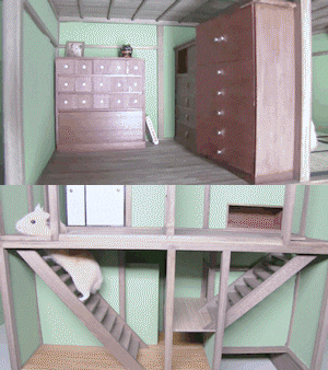 house hamster GIF by Cheezburger