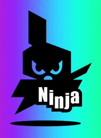 Ninja GIF by Proper