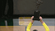 Waving Seattle Storm GIF by WNBA