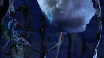 The Misty Flower Clip 7