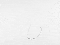 Animation Dog GIF by Jonah Primiano