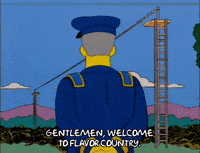 the simpsons episode 25 GIF