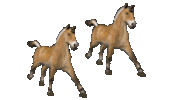 horses STICKER