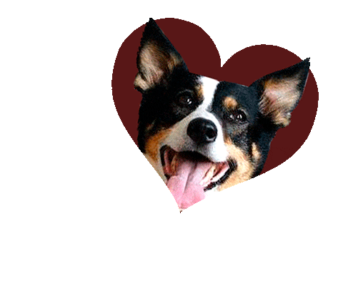 Лежанка Для Собак Sticker by PET BED