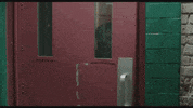 gael garcia bernal cine GIF