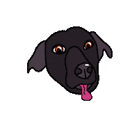 Dog Puppy Sticker