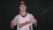 baseball hopkins GIF by gamecocksonline
