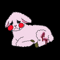alvarosfs lamb teamo estupido alvarito GIF