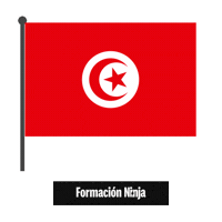 Tunisia Flag Sticker by Formación Ninja