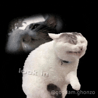 Lock In Wtf GIF