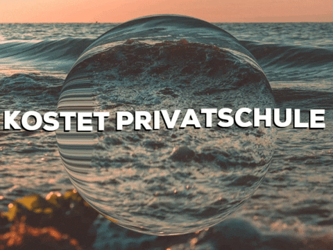 School Background GIF by PrivatschulenPORTAL.de