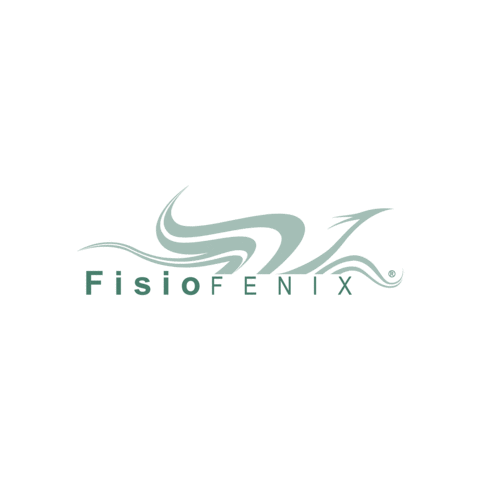 fisiofenix giphyupload fisioterapia Como mariano comense Sticker