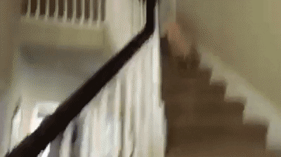 Fall Lol GIF by theCHIVE