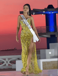 Portoviejo GIF