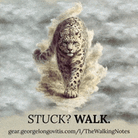 Go Do Or Do Not GIF by George Longovitis