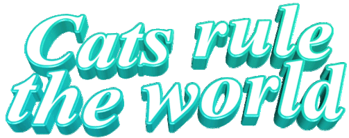 cat text Sticker